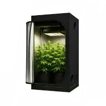 growzelte