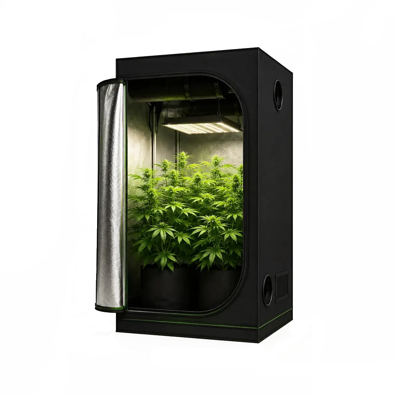 growzelte