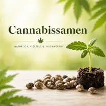 cannabis-samen