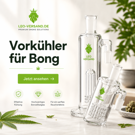 Vorkühler für Bong