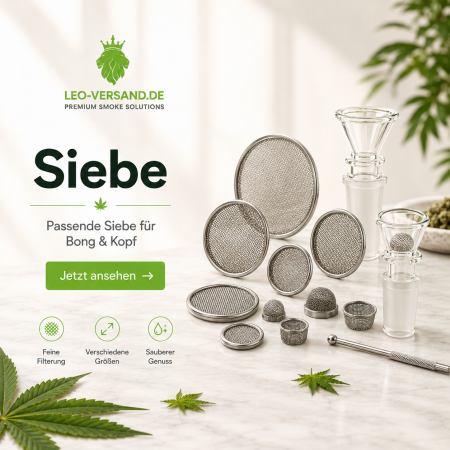 Siebe