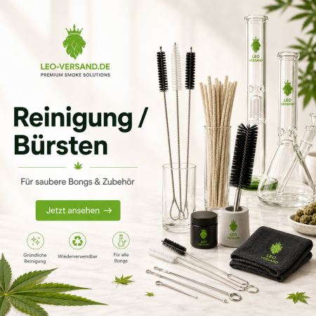 Reiniger, Bürsten