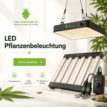 LED Pflanzenbeleuchtung