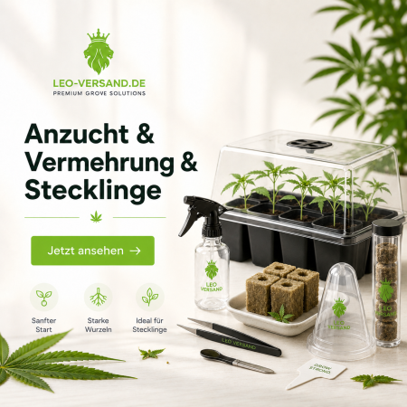 Anzucht&amp;Vermehrung&amp;Stecklinge