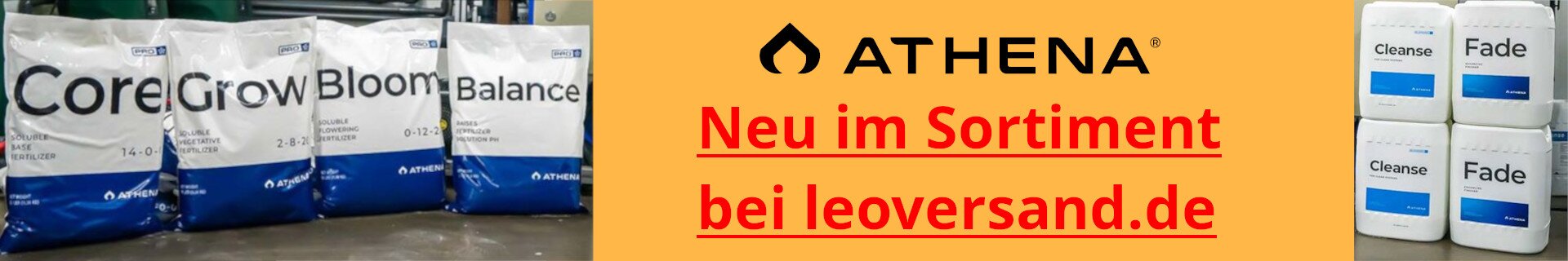 athena-neu-im-sortiment