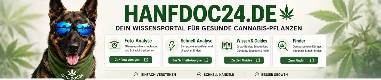 hanfdoc24-banner