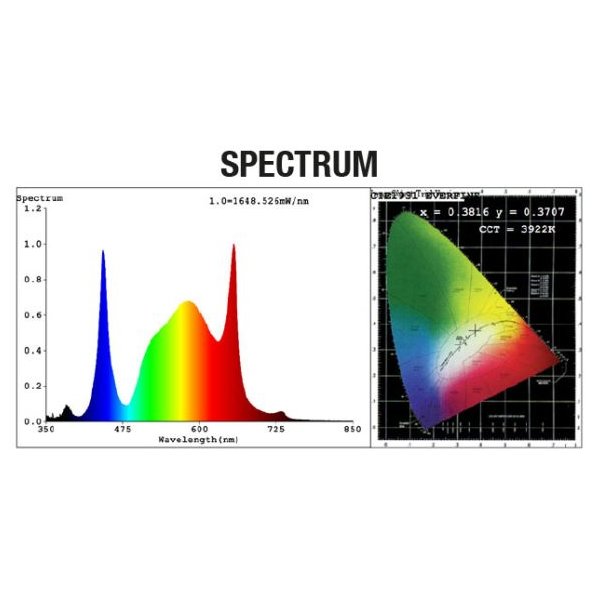 Calitek Vollspektrumlampe 160W 2,8 µmol/J Quantum Bears
