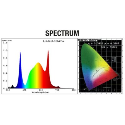 Calitek Vollspektrumlampe 160W 2,8 µmol/J Quantum Bears