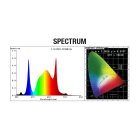 Calitek Quantum Bears LED 260W Grow Lampe 2,8µmol/J Vollspektrum