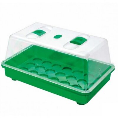 Mini-Gewächshaus 38x24x19cm mit Deckel für...