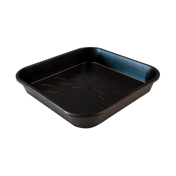 PotKing Pflanzuntersetzer quadratisch 14,1x14,1cm Grow Schutz