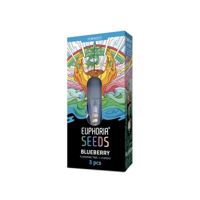 Euphoria Blueberry feminisiert 3 Samen