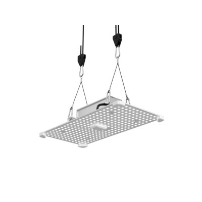 LUMii Black Blade 100W LED 6500K – Licht für...