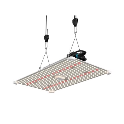 LUMii Black Blade 200W LED 3500K – Vollspektrum...