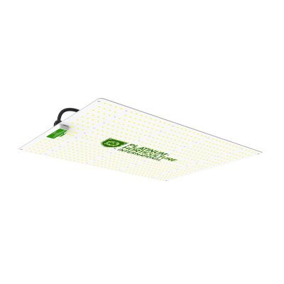 Platinum LED-Lampe 320W Quantumboard Vollspektrum für Grow