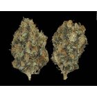 Samen CBD Chronic 3 Stück