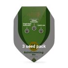 Royal Queen Seeds Autoflowering Mix automatic 3 Samen