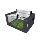 Anzuchtzelt 80x60x40cm Propagator M – Stecklingszelt für Indoor Grow