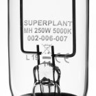 Superplant Metallhalogenlampe MH 250W für Wachstumsphase 5000K