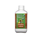 Hydroponics Excellerator 500ml Booster Blüte & Wachstum