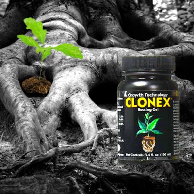 Clonex Stecklingsgel 50ml Wurzelstimulator & Wachstumshilfe