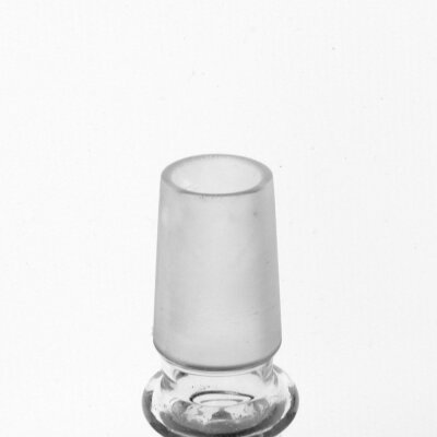 Amsterdam Köpfchen 18,8mm Ring – New Ways Glaskopf