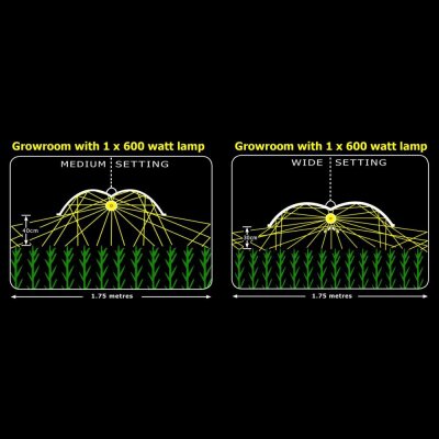 Adjust-A-Wings Enforcer Reflektor S Grow