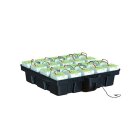 Hydro Stone 100x100 Grow-System inkl. Pumpe