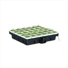 Hydro Stone 120x120 Grow-System mit Platinium Pumpe