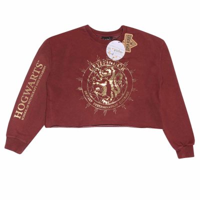 Harry Potter Cropped Sweatshirt Gryffindor Constellation...